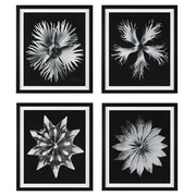 CONTEMPORARY FLORET Set 4 tablouri