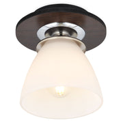 LARIS Plafonieră 1x40W E27