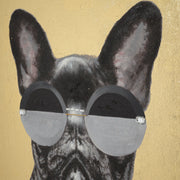 FRENCHIE Tablou canvas