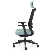 RASSEGNA Scaun ergonomic birou