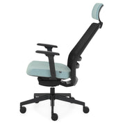 RASSEGNA Scaun ergonomic birou